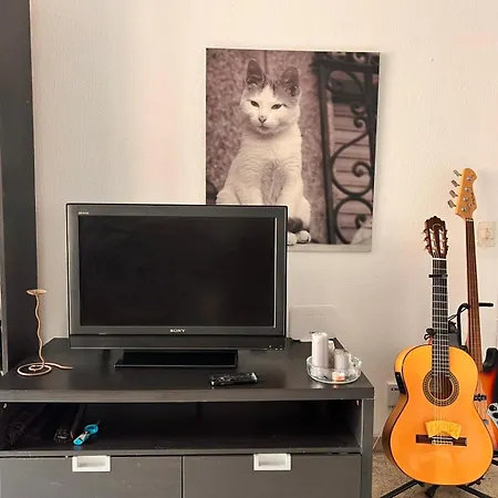 La Casa Del Musico 1
